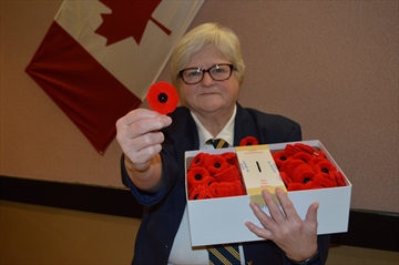 Karen%20Nicol%20Mtn%20poppies%20Oct%2025