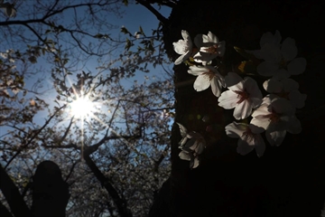 Thestar_b690b80b_46f1_494b_9f4f_cad625c3