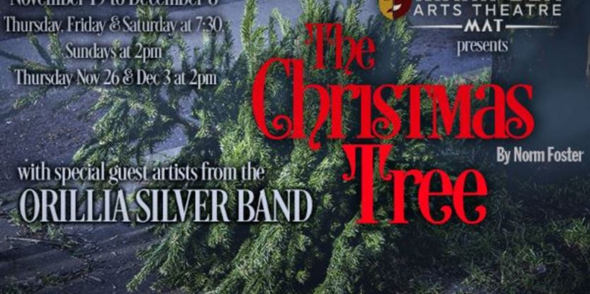 The Christmas Tree with Guests from OSB on December 03,2020 | Toronto.com