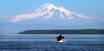 CPT500446566_Content.jpg