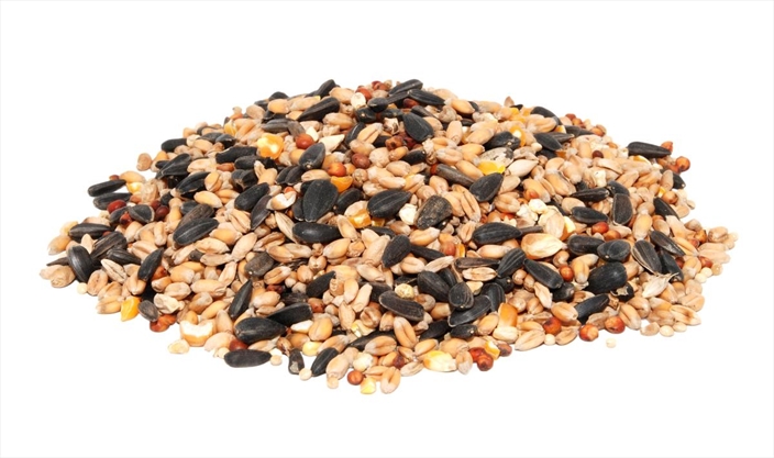 Why many bird seed mixes are filled with stuff birds won't eat