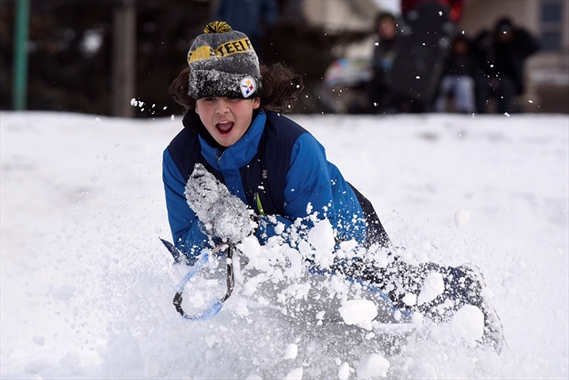 best place to go tobogganing in toronto