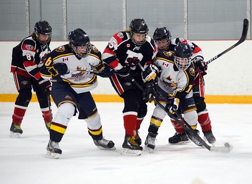 InsideHalton.com > Bantam Burlington Eagles vs Brantford 99ers