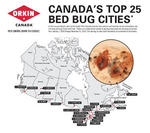 ORKINS___Content.jpg