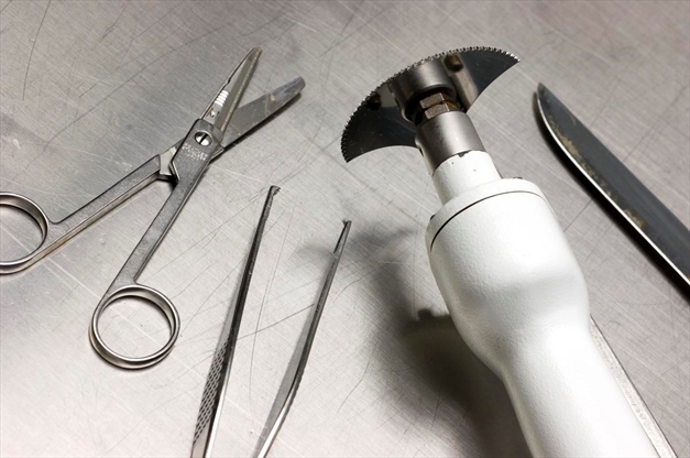 Hamilton Forensic Pathologists Overwhelmed Because Coroners Ordered 