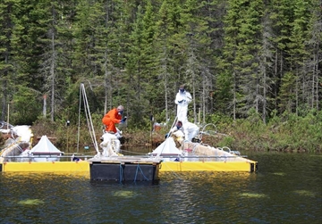 CPT109482674_Content.jpg