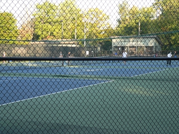 P1120191_Content.jpg