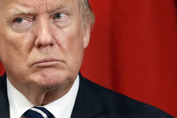 TRUMP___Content.jpg