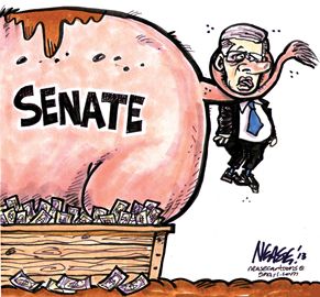 Steve Nease on the senate