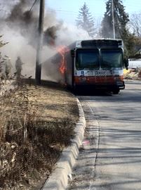 MiWay_bus_fire_2___Content.jpg