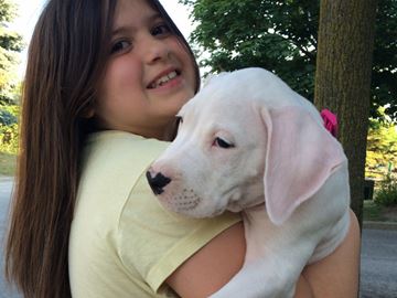 Meghan Johnson, 9, was delighted to hear she'll get to keep Shelby, after the breeder decided to donate the puppy that had ended up on the streets after a pepper-spray attack.
Meghan Johnson, 9, was delighted to hear she'll get to keep Shelby, after the breeder decided to donate the puppy that had ended up on the streets after a pepper-spray attack.