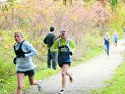 park ot runners shine in ofsaa cross country park ot runners shine in ofsaa cross country