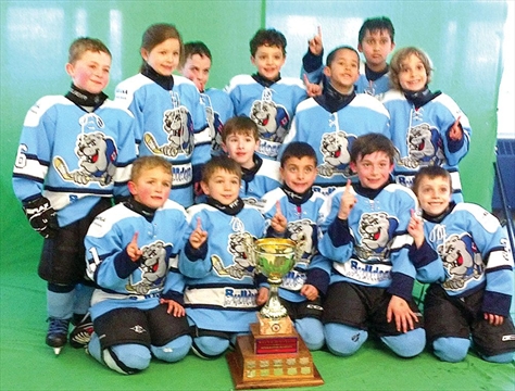 Etobicoke Bulldogs tyke team win NYHL championship  Toronto.com