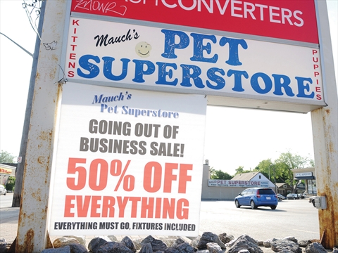 proposed oshawa puppy sale ban forcing him out of business proposed oshawa puppy sale ban forcing him out of business