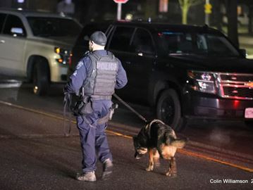 A man was stabbed on Calais Street in Whitby on April 20.