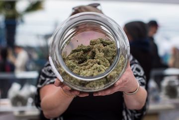 POT___Content.jpg