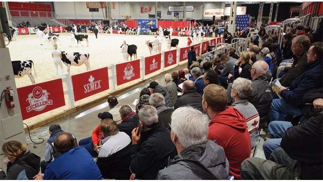 What’s new at this year’s Royal Winter Fair