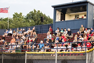 Cardinals%20crowd%20by%20Art%20Ward_Cont