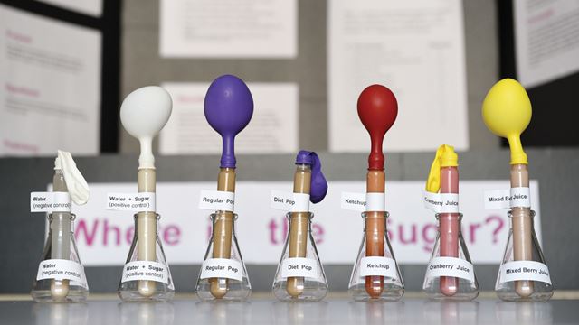 Durham students can rock school science projects with expert