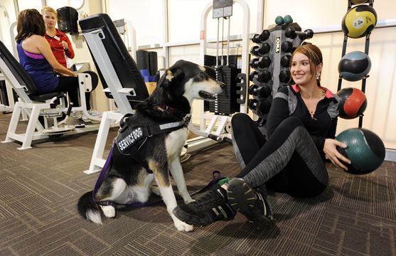 24 Hour Goodlife Fitness Brampton