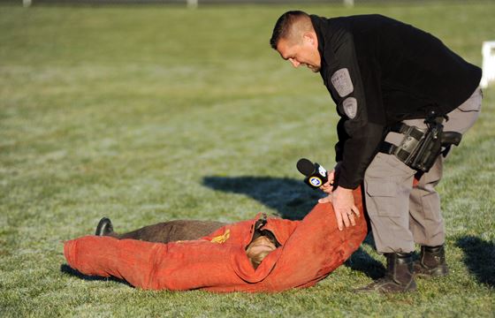 What does k9 stand for picture