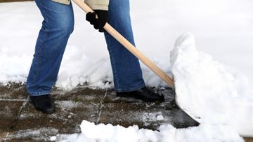 SHOVEL___Content.jpg