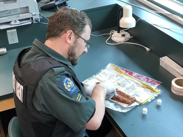 CPT117483107_Content.jpg