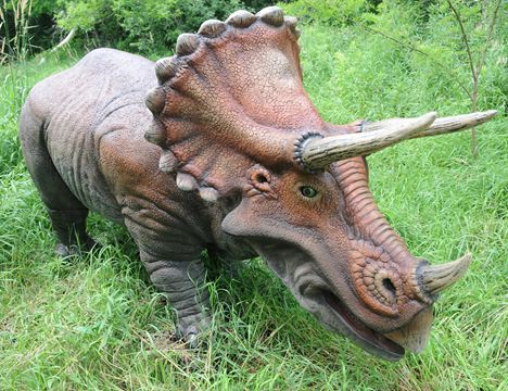 Indian river reptile zoo discount coupons