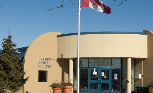 Animal shelter open house Saturday  BramptonGuardian.com