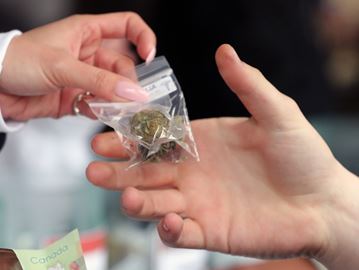 Cannabis dispensaries had booths set up with marijuana for sale at the annual 420 Toronto event in April. Recently retired Niagara Regional Police chief Jeff McGuire told Thorold Mayor Ted Luciani in a new letter this police in Niagara will continue to crack down on illegal dispensaries until such time as the federal government legalizes cannabis.