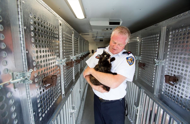 Lincoln County Humane Society’s mobile adoption unit on a roll