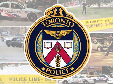 prostitute numbers in toronto