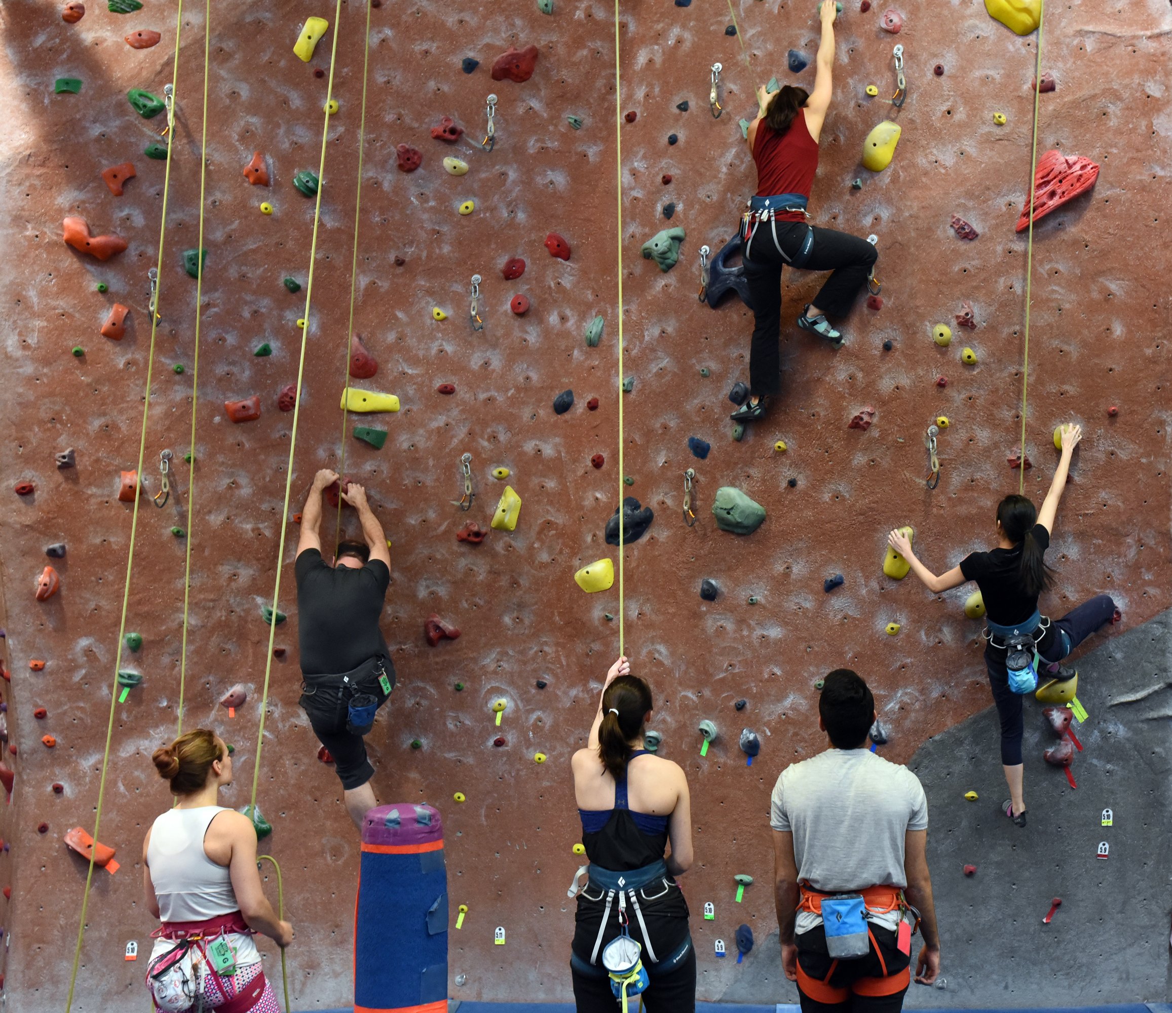 Going to new heights at True North Climbing