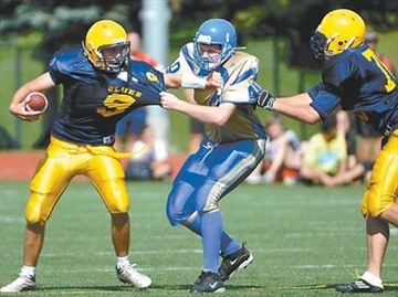 birchmount stadium