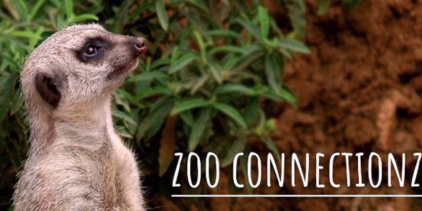 Take A Virtual Tour Of The Toronto Zoo Toronto Com