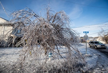 VCRD121446673_Content.jpg