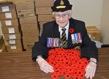 Lucy_Martin_poppies_Oct_27_Content.jpg