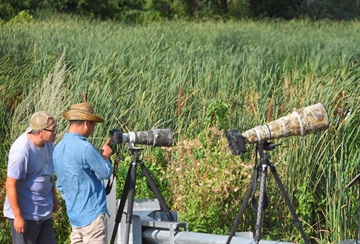 B88342984Z.1_20180828182707_000_GVUA9L5U