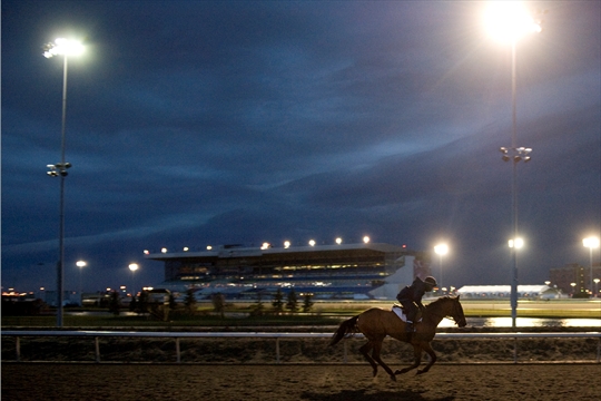 Casino mississauga
