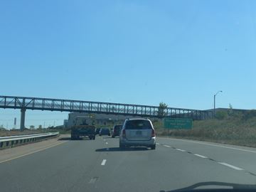 P1120202___Content.jpg