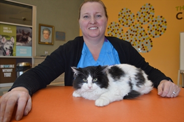 Michelle%20Macnab%20SPCA%202%20Jan%2015_