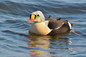 B88925593Z.1_20191101080357_000_G6PPC4L8