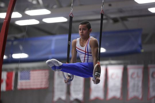 Gymnasts Excel At Provincial Championships | Mississauga.com