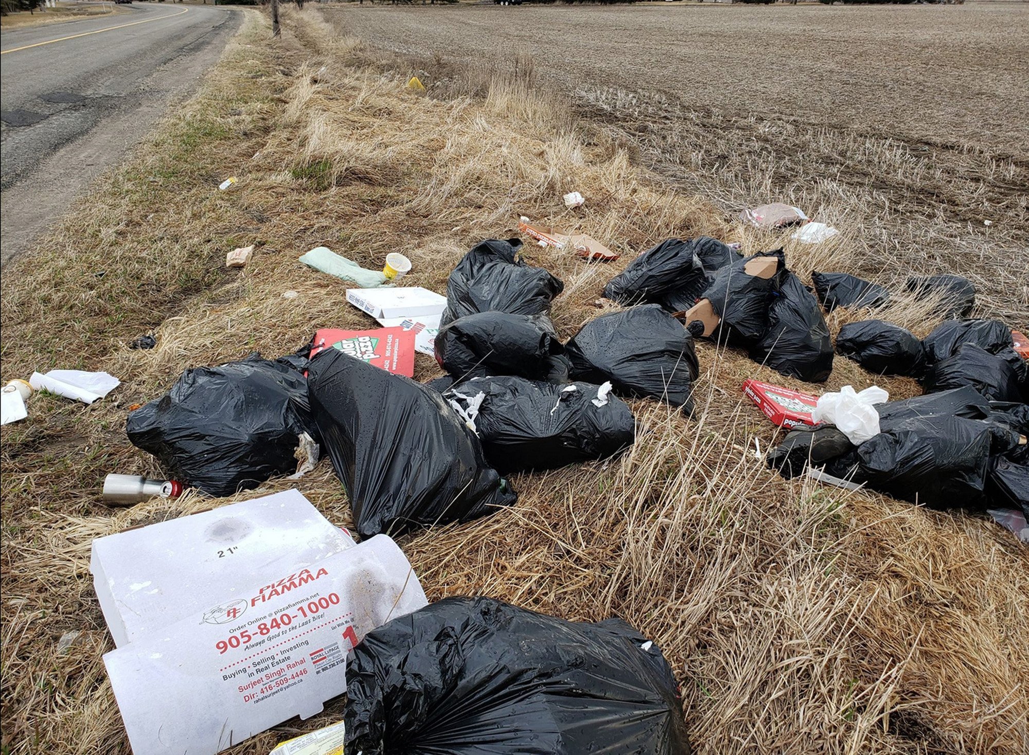 Pay per throw Region of Peel exploring user fee waste system to charge