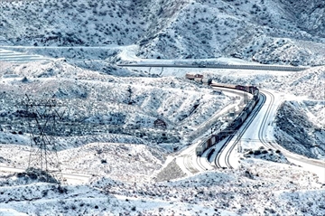 CAANR202-221_2019_184513_Content.jpg