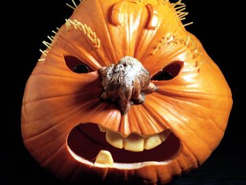 PUMPKIN___Content.jpg