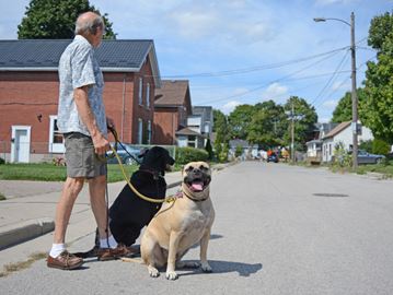 Ron Hosker looks up Hooper Street at the construction site on York Road, while his dogs – a black lab named Jones and a mutt named Sadie – wait in hopes of being taken for a walk on Tuesday (Sept. 13, 2016). Canada Post has suspended mail delivery to the entire street due to a dog issue, but Hosker believes the organization is using his dogs as an excuse to change the whole street over to a community mailbox.