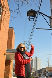 BIA_lanterns_Jan_19_Content.jpg