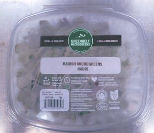 Greenbelt-Microgreens-1___Content.jpg