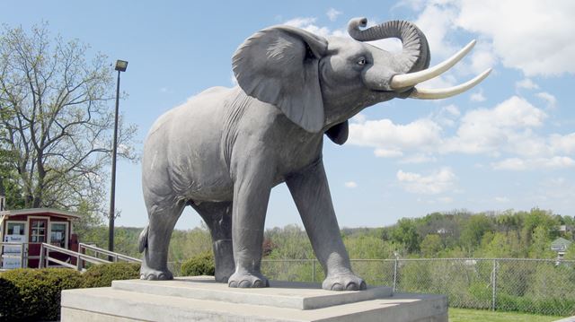 Pygmalion lijden beven Best in St. Thomas: Jumbo the Elephant Monument | HamiltonNews.com